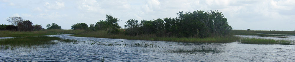 Everglades